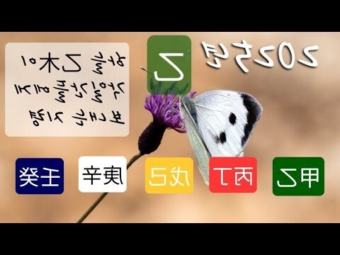 乙木 性格
